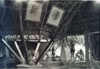 Udavi Auroshika