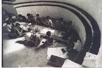 Udavi Auroshika