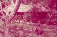 Newlands Shivaya House