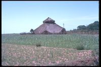 Huts