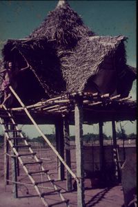 Huts