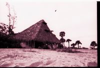 Aurobeach