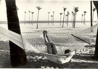 Aurobeach