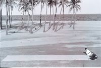 Aurobeach