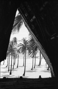 Aurobeach