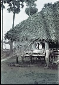 Aurobeach