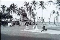 Aurobeach