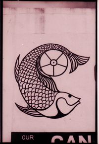 Golden Tilapia