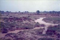The beginning of Hermitage from 1989-96
