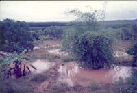 The beginning of Hermitage from 1989-96