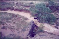 The beginning of Hermitage from 1989-96