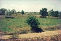 The beginning of Hermitage from 1989-96