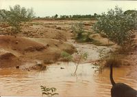 The beginning of Hermitage from 1989-96