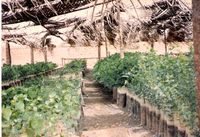 The beginning of Hermitage from 1989-96