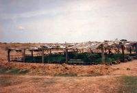 The beginning of Hermitage from 1989-96