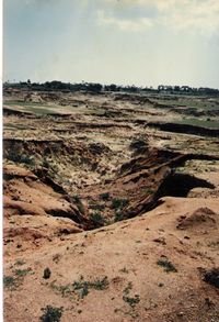 The beginning of Hermitage from 1989-96