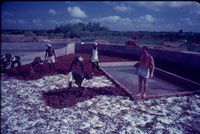 Djaima, Fish pond