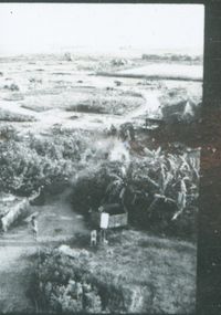 Around the Djaima community