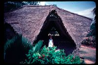 Around the Djaima community