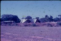 Mango grove, cheese farm