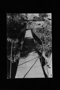 Utilite bridge