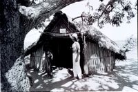 Utility huts